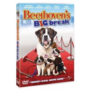 Beethoven 6 - Beethovens Store Gennembrud
