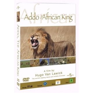 Hugo Van Lawick: Addo - The African King