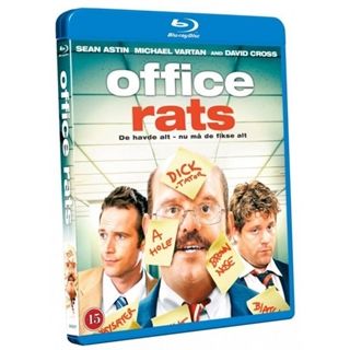 OFFICE RATS BD